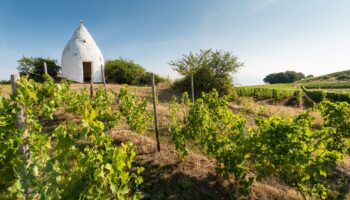 Trullo auf dem Adelberg bei Flonheim_kopie