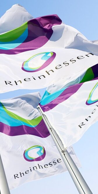 Logo-Fahnen-hoch