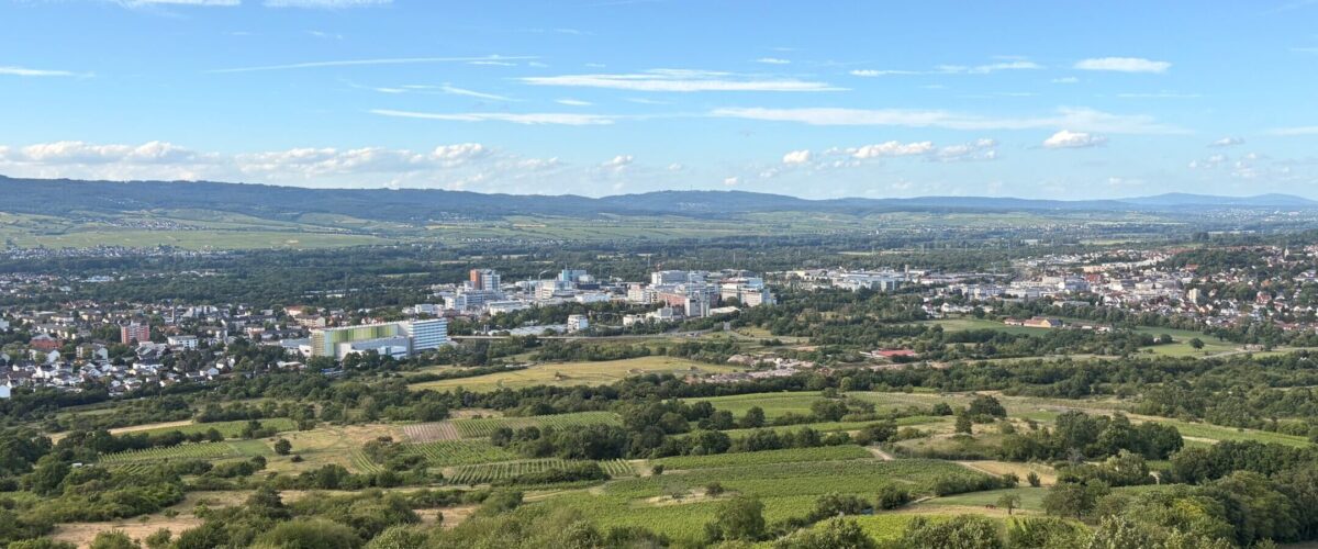 Ingelheim und Boehringer vom Bismarckturm Ingelheim und Boehringer vom Bismarckturm aus