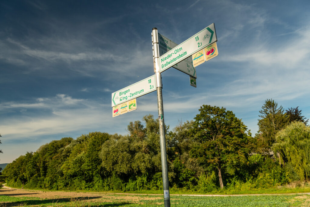 HBR-Beschilderung (4) Radwegweiser mit grüner Schrift vor Bäumen und blauem Himmel. Auf den Schildern stehen unter anderem Bingen, Nieder-Olm, Großwinternheim, Mainz und Heidesheim.