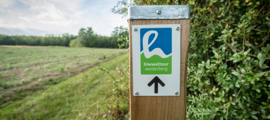 Wegmarkierung an der Hiwweltour Westerberg Holzpfosten mit Schild „hiwweltour westerberg“ und schwarzem Pfeil nach oben. Im Hintergrund liegen ein Feld, ein grasbewachsener Weg, Hecken und Bäume unter bewölktem Himmel.