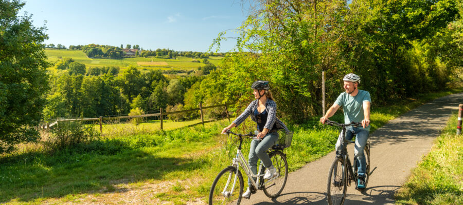 Radfahren durch grüne Weinlandschaft bei Ingelheim Selztal-Radweg Radfahren durch grüne Weinlandschaft bei Ingelheim Selztal-Radweg