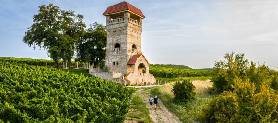 Rheinhessen-Touristik-2025-196-Hiwweltour Wasserturm (1) Steinerner Aussichtsturm mit rotem Ziegeldach in einer hügeligen Weinlandschaft. Zwei Personen laufen auf einem Feldweg zwischen Reben, Bäumen und dichtem Grün.