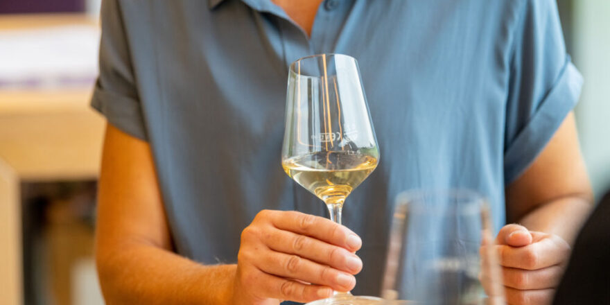 Rheinhessen-Weinauswahl 2026