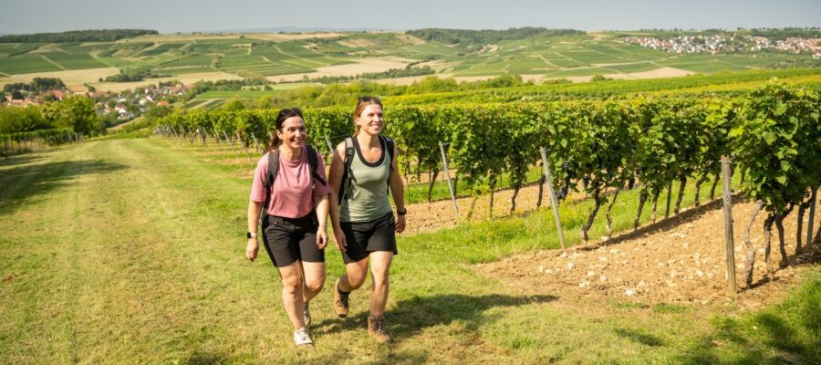 Wandern durch sonnige Weinberge Zwei Frauen wandern mit Rucksäcken auf einem Grasweg neben Rebstöcken. Im Hintergrund erstrecken sich Weinberge, Felder, Waldstücke und kleine Ortschaften unter klarem Himmel.