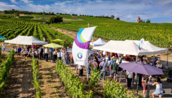 Wein erleben im Wißberg Viele Menschen besuchen eine Veranstaltung in einem Weinberg mit weißen Zelten, Sonnenschirmen und Rheinhessen-Fahnen. Im Hintergrund liegen grüne Rebflächen, ein blauer Himmel und eine kleine Kirche.