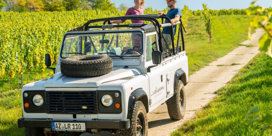Förderchance für Rheinhessen