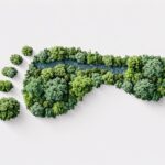 Fachtag: Klima wandelt Gesundheit - Kommunen gesund und klimaresilient gestalten Fachtag: Klima wandelt Gesundheit - Kommunen gesund und klimaresilient gestalten