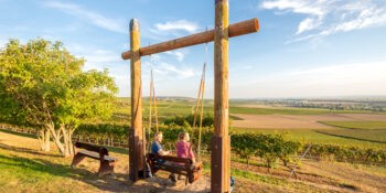 Dominik Ketz Rheinhessen-2021-746-Welgesheim, Wingertschaukel_1_(1)