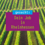 Werde Digitalmanager:in Tourismus (m/w/d) für Rheinhessen! Dein Job