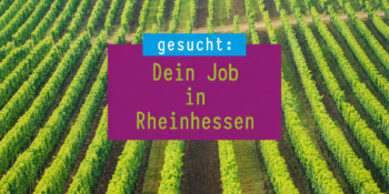 Dein Job