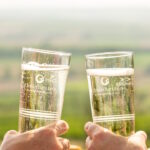 Weintourismus in Rheinhessen: Masterarbeit untersucht Unterstützungsbedarf unserer Betriebe Weintourismus 2030-plus_B2B_10.2Weinerlebnis