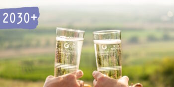 Weintourismus in Rheinhessen: Masterarbeit untersucht Unterstützungsbedarf unserer Betriebe